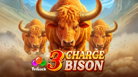 3 Charge Bison