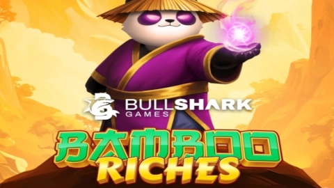 Bamboo Riches slot image
