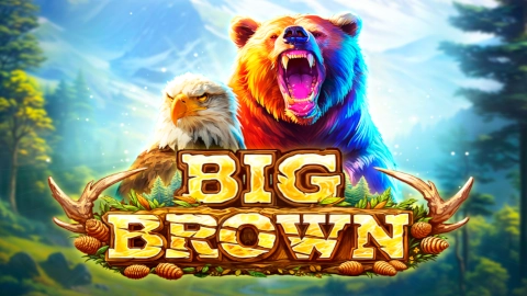 Big Brown