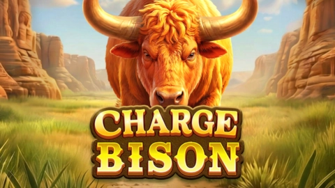 Charge Bison