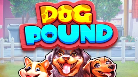 Dog Pound