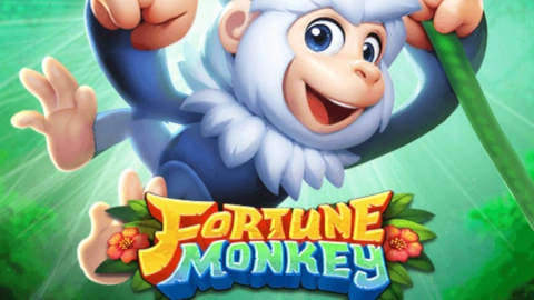 Fortune Monkey