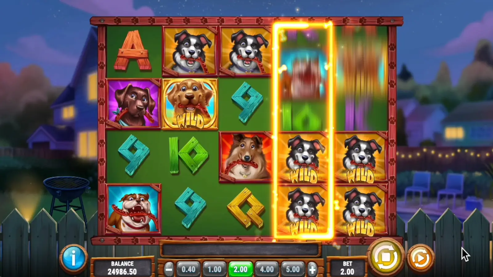 Hot Dog Heist Slot Border Collie