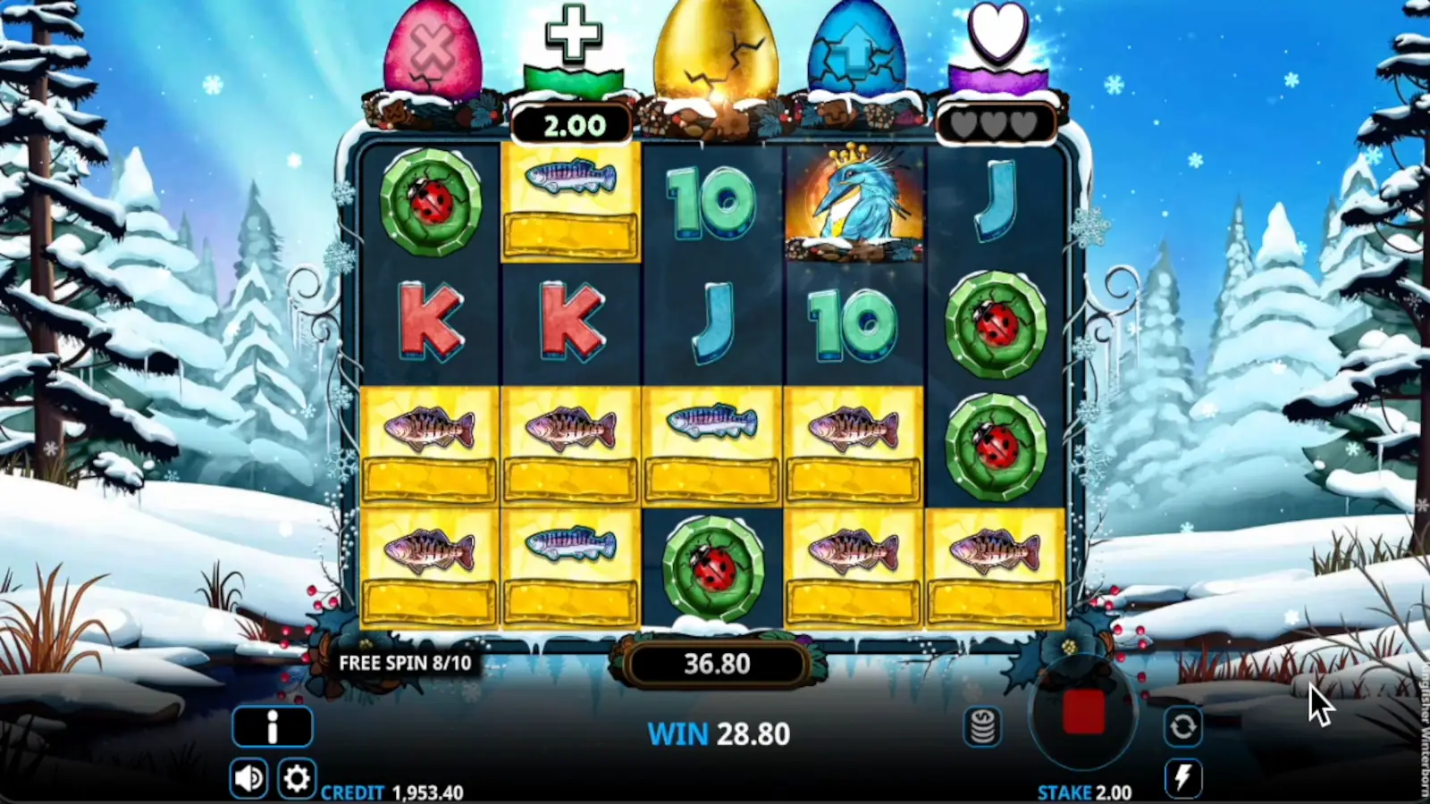 Kingfisher Winterborn Slot Kingfisher Bonus Free Spins