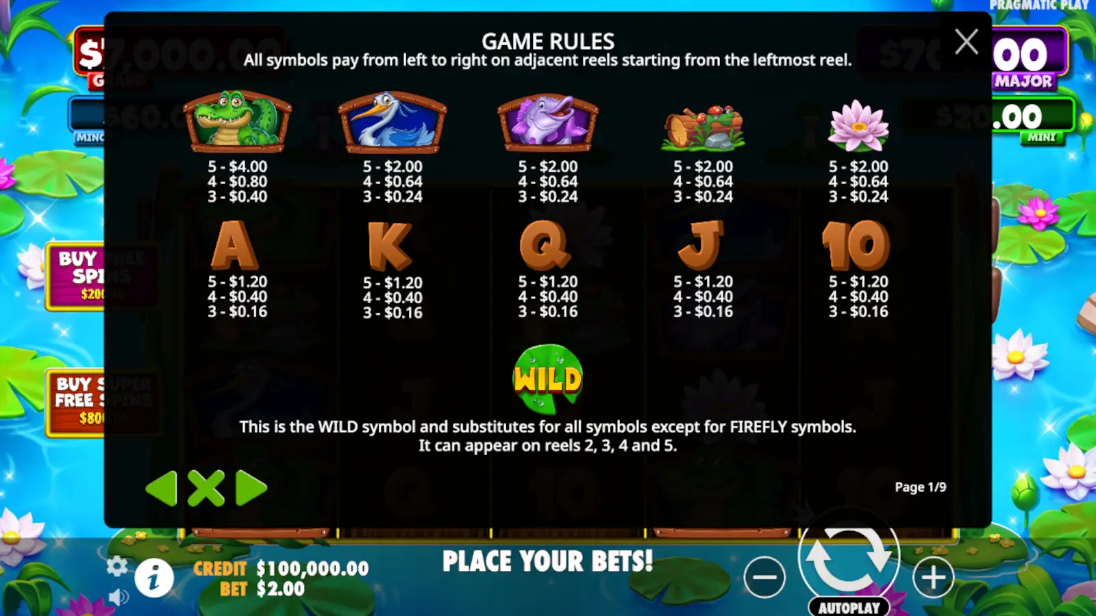 Tiny Toads Slot Symbols and Paytable