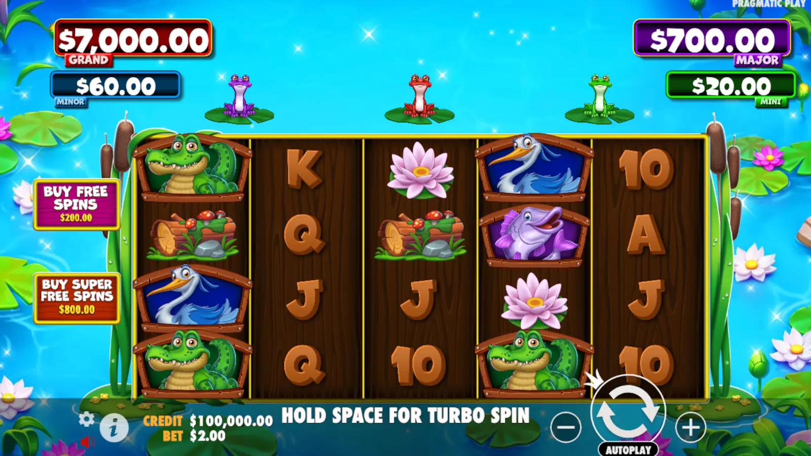 Tiny Toads Slot Rules and Gameplay