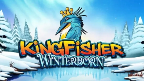 Kingfisher Winterborn