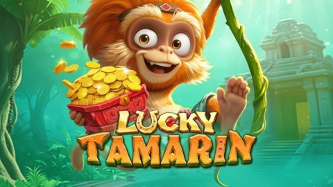 Lucky Tamarin