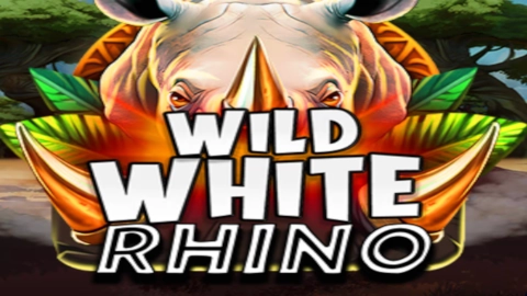 Wild White Rhino